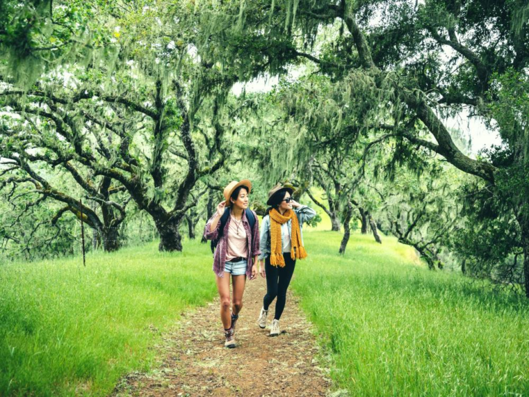 Scenic Strolls: Picturesque Walking Trails for Nature Enthusiasts